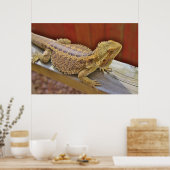 Draak 2 testen poster (Keuken)