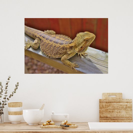 Draak 2 testen poster (Keuken)