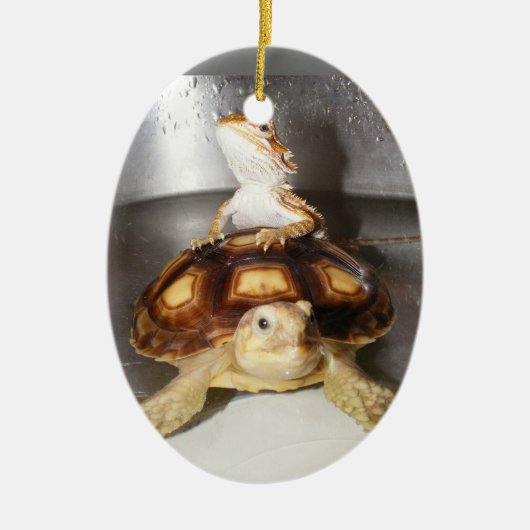 Draak en Sulcata Tortoise Keramisch Ornament (Voorkant)