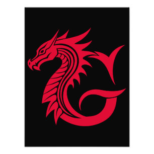 Draak gestileerde letter G, drakenalfabet, monogra Foto Afdruk