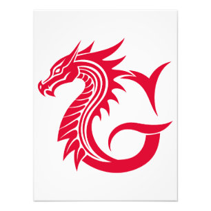 Draak gestileerde letter G, drakenalfabet, monogra Foto Afdruk