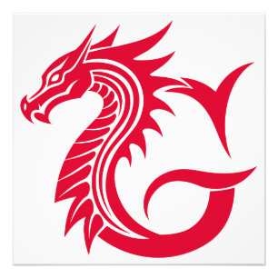 Draak gestileerde letter G, drakenalfabet, monogra Foto Afdruk