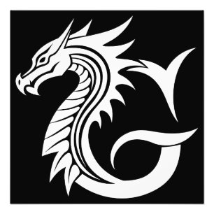 Draak gestileerde letter G, drakenalfabet, monogra Foto Afdruk
