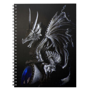 Draak Notitieboek