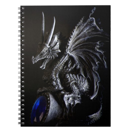 Draak Notitieboek (Voorkant)