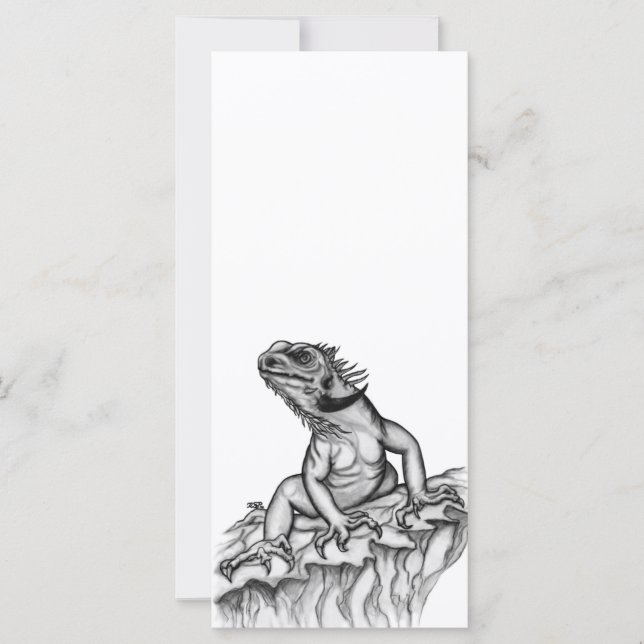 Draak op de rots (Voorkant)