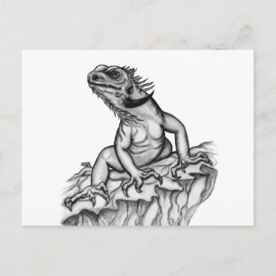 Draak op de rots briefkaart