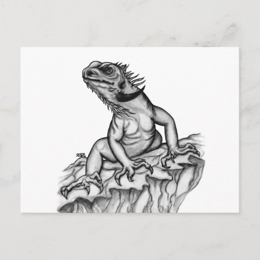 Draak op de rots briefkaart (Voorkant)