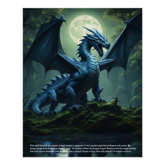 Draak Perfect Poster (Voorkant)