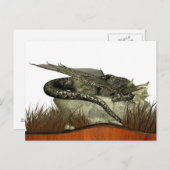 Draak slapen op een rots briefkaart (Voorkant / Achterkant)