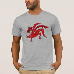 draak t-shirt