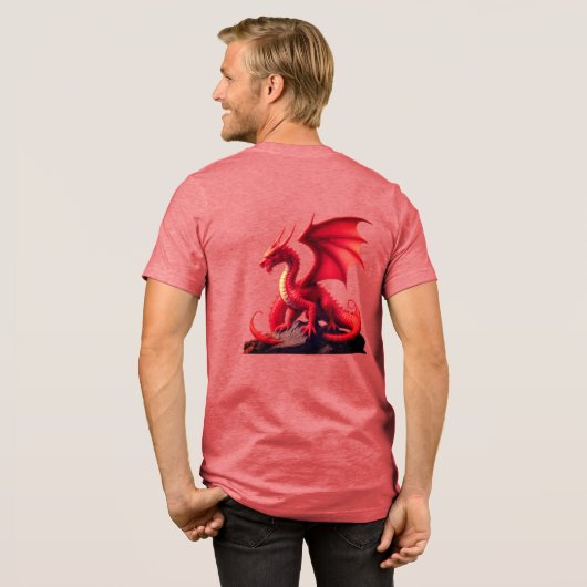 DRAAK Tri-Blend SHIRT (Voorkant)