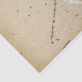 drabulyvintage tissuepapier (Detail)