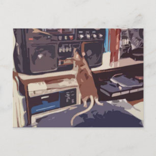 Drac en stereo briefkaart