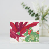 Dracaena, Poinsettia, van Tanigami Konan Briefkaart (Staand voorkant)