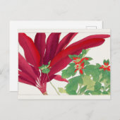 Dracaena, Poinsettia, van Tanigami Konan Briefkaart (Voorkant / Achterkant)