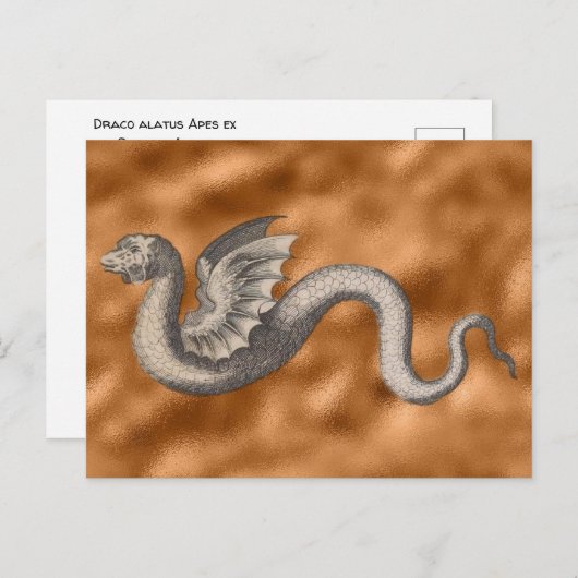 Draco alatus Apes ex Greuino Aldro Briefkaart (Voorkant / Achterkant)