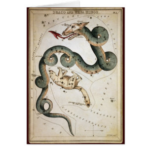 Draco en Ursa Minor