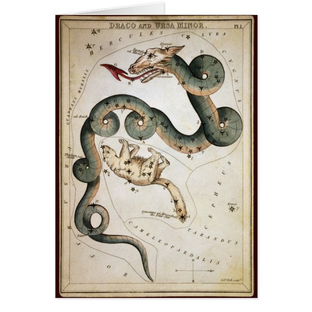Draco en Ursa Minor (Voorkant)