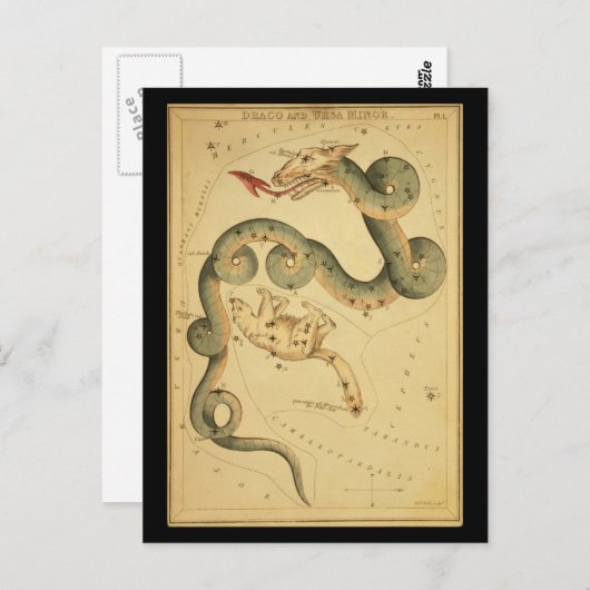Draco en Ursa Minor Briefkaart (Voorkant / Achterkant)