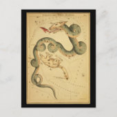 Draco en Ursa Minor Briefkaart (Voorkant)