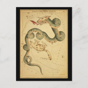 Draco en Ursa Minor Briefkaart