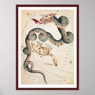 Draco en Ursa Minor door Sidney Hall Poster