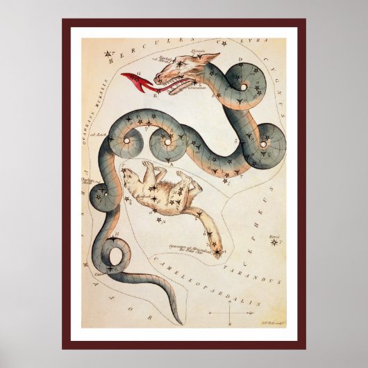 Draco en Ursa Minor door Sidney Hall Poster (Voorkant)