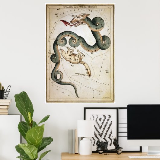 Draco en Ursa Minor Poster (Thuiskantoor)