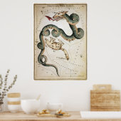 Draco en Ursa Minor Poster (Keuken)