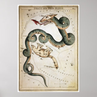 Draco en Ursa Minor Poster