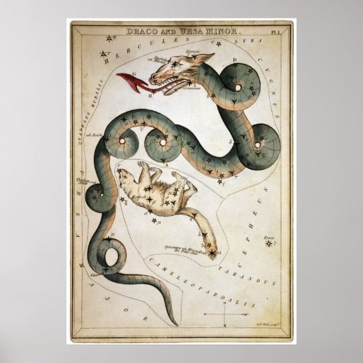 Draco en Ursa Minor Poster (Voorkant)