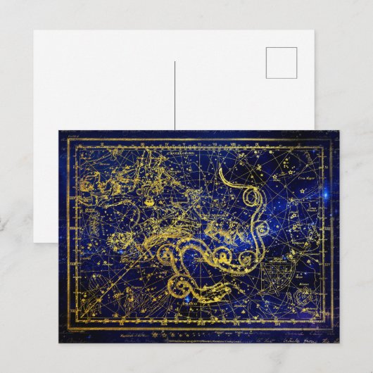 Draco Gold Constellation Faux Briefkaart (Voorkant / Achterkant)