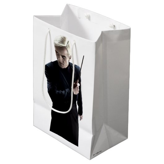 Draco Malfoy 3 Medium Cadeauzakje (Voorkant Gekanteld)