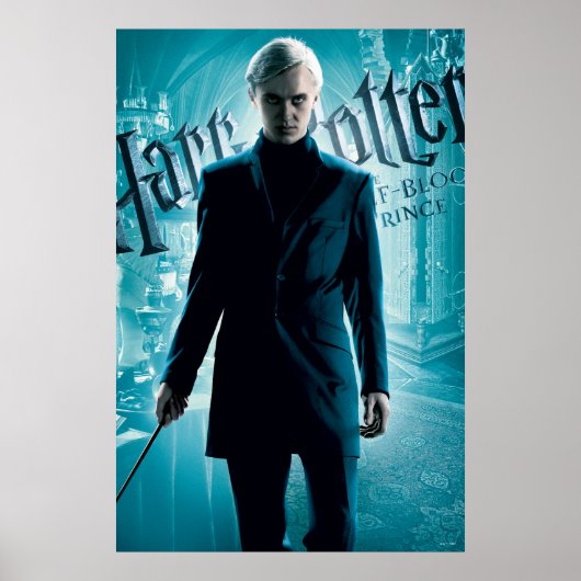 Draco Malfoy Poster (Voorkant)