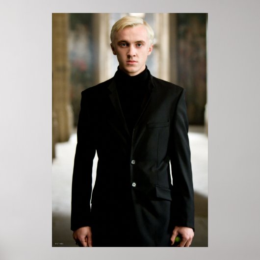 Draco Malfoy Straight On Poster (Voorkant)