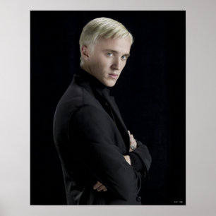 Draco Malfoy-wapens Poster