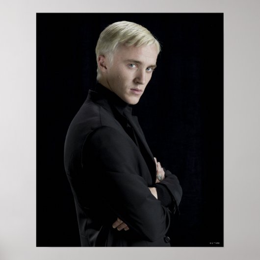Draco Malfoy-wapens Poster (Voorkant)