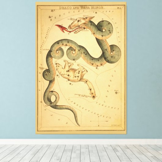 Draco the Dragon - Astronomische Star Chart Canvas Afdruk (Insitu (Houten vloer))