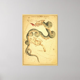 Draco the Dragon -  Astronomische Star Chart Canvas Afdruk