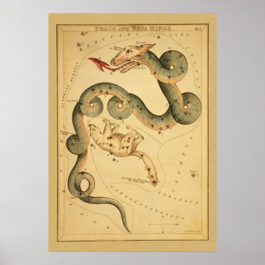Draco the Dragon -  Astronomische Star Chart Poster (Voorkant)