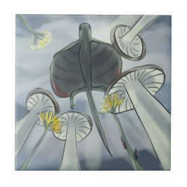 Draco vliegen tegeltje