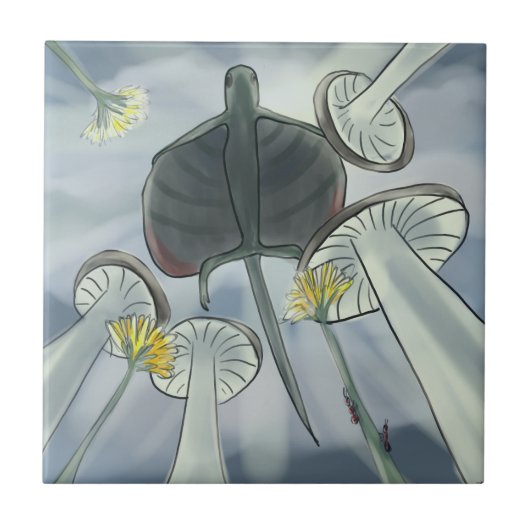 Draco vliegen tegeltje (Voorkant)