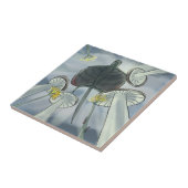 Draco vliegen tegeltje (Zijkant)