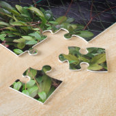 Dracula Orchid Legpuzzel (Zijkant)