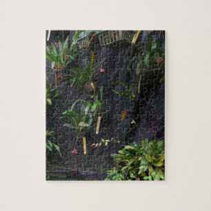 Dracula Orchid Legpuzzel
