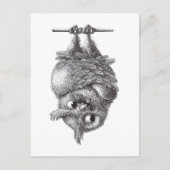 Dracula Owl Cool en zo eng Briefkaart (Voorkant)