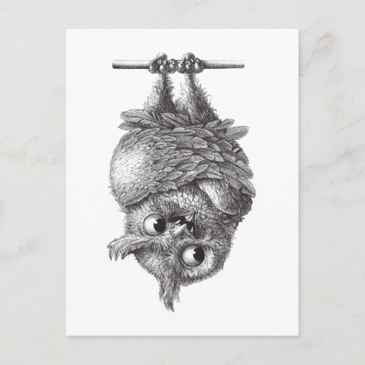 Dracula Owl Cool en zo eng Briefkaart (Voorkant)