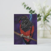 Dracula Parrot Briefkaart (Staand voorkant)