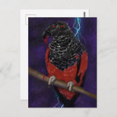 Dracula Parrot Briefkaart (Voorkant / Achterkant)